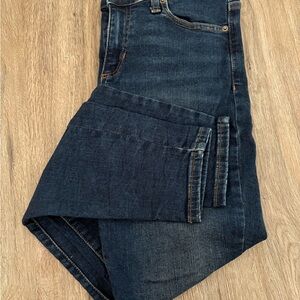 Banana Republic Dark Blue Denim Jeans